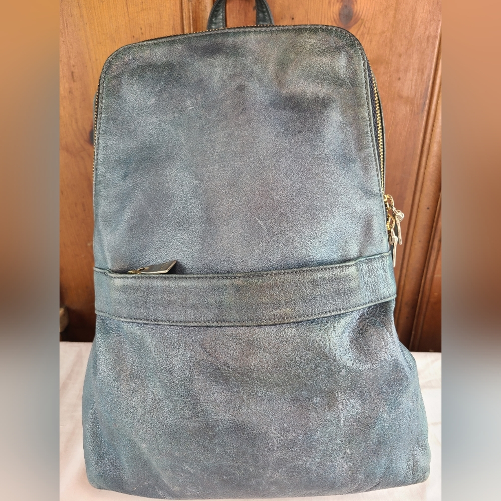 Anialy Luc aniary Shrink Leather Backpack
